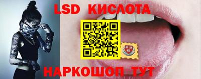 стафф Гай