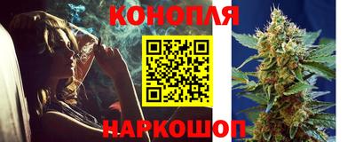 стафф Гай