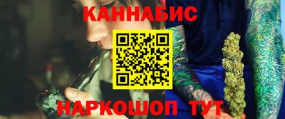 стафф Гай