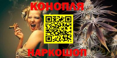 стафф Гай