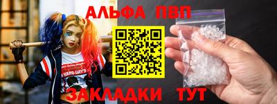 стафф Гай